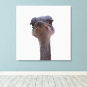 ダチョウ キャンバスプリント (インサイチュ (ウッドフロア))