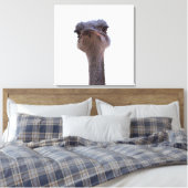 ダチョウ キャンバスプリント (インサイチュ (寝室))
