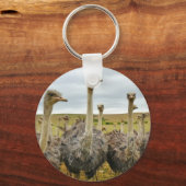 ダチョウ キーホルダー (正面)