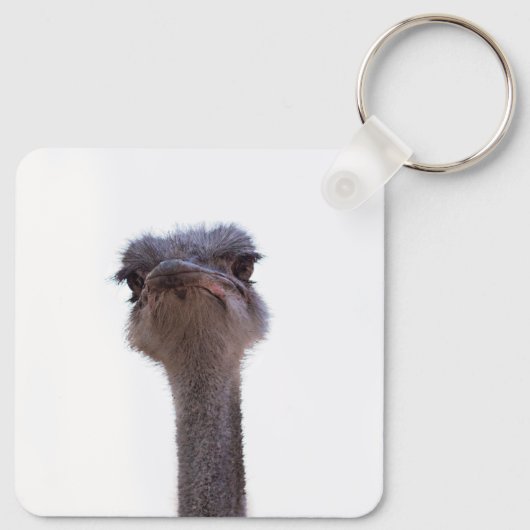 ダチョウ キーホルダー (裏面)