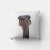 ダチョウ クッション (正面)