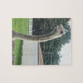 ダチョウ ジグソーパズル (横)