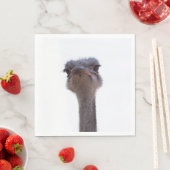 ダチョウ スタンダードランチョンナプキン (インサイチュ)