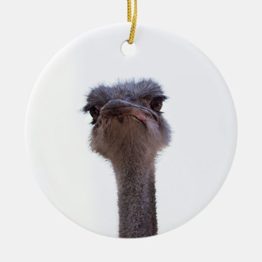 ダチョウ セラミックオーナメント (正面)