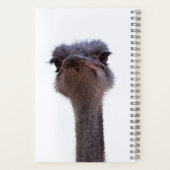 ダチョウ ノートブック (裏面)