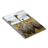 ダチョウ ノートブック (右側)