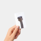 ダチョウ バッジ (Handheld)