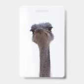 ダチョウ バッジ (Back)