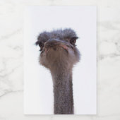 ダチョウ フードラベル (シングルラベル)