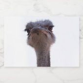 ダチョウ フードラベル (シングルラベル)