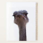 ダチョウ プランナー手帳 (裏面)