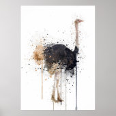 ダチョウ ポスター (正面)