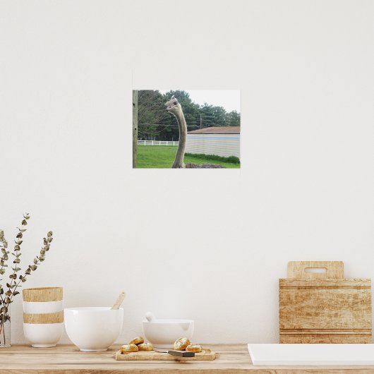 ダチョウ ポスター (キッチン)