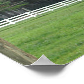 ダチョウ ポスター (角)