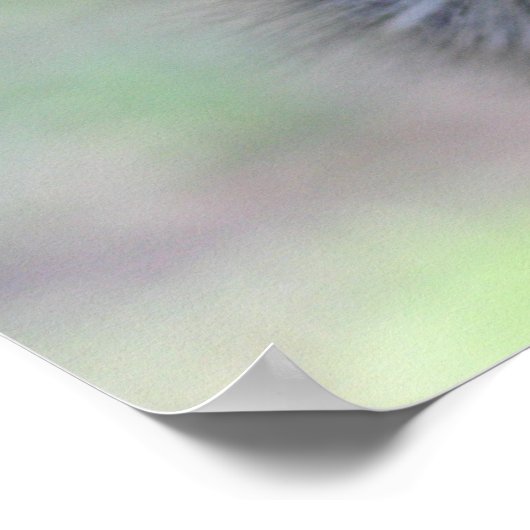 ダチョウ ポスター (角)