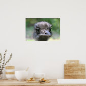 ダチョウ ポスター (キッチン)