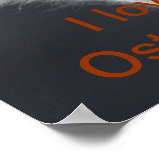 ダチョウ ポスター (角)