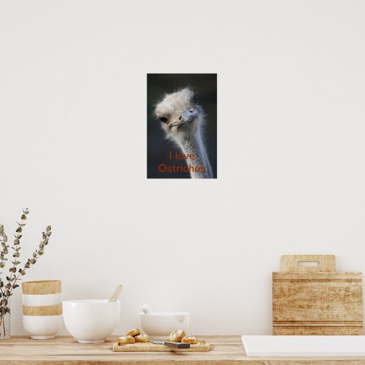 ダチョウ ポスター (キッチン)