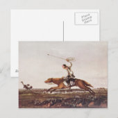 ダチョウ ポストカード (正面/裏面)