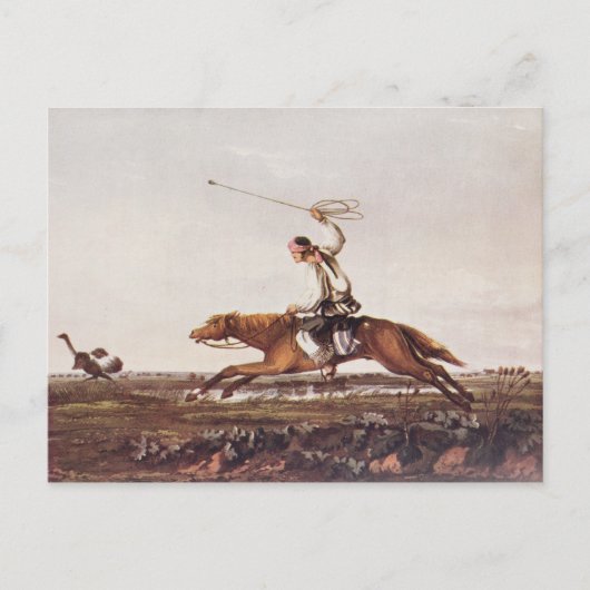 ダチョウ ポストカード (正面)