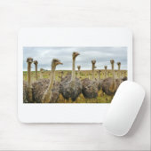 ダチョウ マウスパッド (マウス)