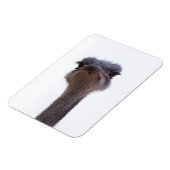 ダチョウ マグネット (左側)