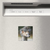 ダチョウ マグネット (インサイチュ (食洗機))