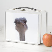 ダチョウ メタルランチボックス (インサイチュ)