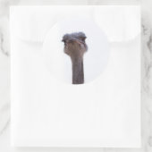 ダチョウ ラウンドシール (バッグ)