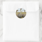 ダチョウ ラウンドシール (バッグ)