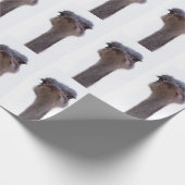 ダチョウ ラッピングペーパー (角)