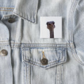 ダチョウ 缶バッジ (インサイチュ)