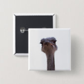 ダチョウ 缶バッジ (正面&裏面)