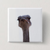 ダチョウ 缶バッジ (正面)