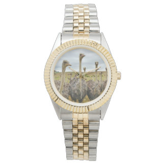 ダチョウ 腕時計