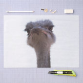 ダチョウ 薄葉紙 (クラフト)