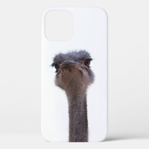 ダチョウ iPhone 12ケース