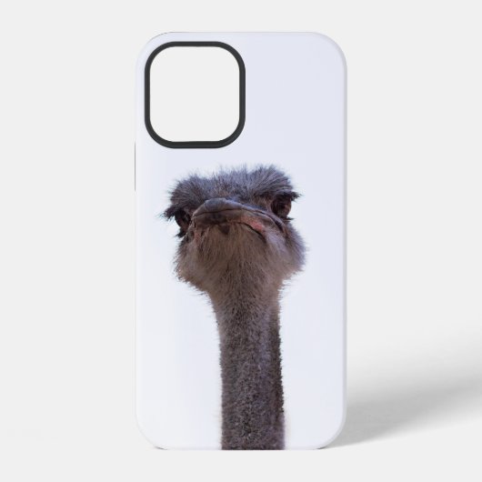 ダチョウ iPhoneケース (裏面)