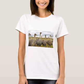 ダチョウ Tシャツ