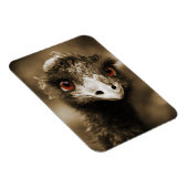 ダチョウLookマグネット マグネット (右側)