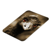 ダチョウLookマグネット マグネット (左側)