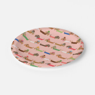 ダッおもしろいシュント ペーパープレート