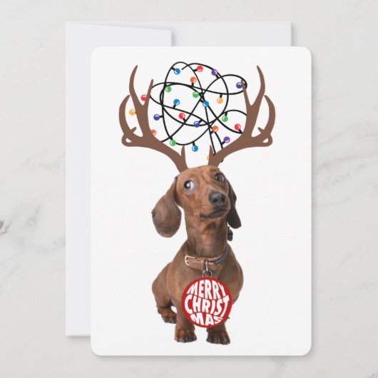 ダッおもしろいシュントWiener犬の〔雄ジカの〕枝角メリークリスマス シーズンカード (正面)