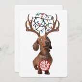 ダッおもしろいシュントWiener犬の〔雄ジカの〕枝角メリークリスマス シーズンカード (正面/裏面)