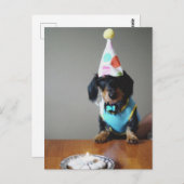 ダッおもしろいシュンドッグ誕生日カード ポストカード (正面/裏面)