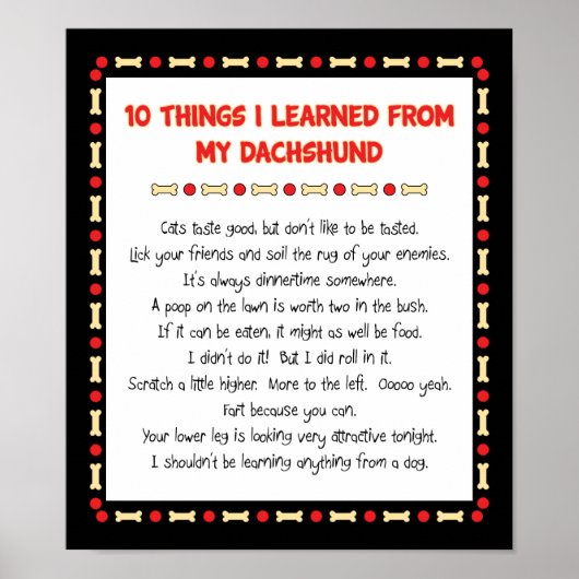 ダッおもしろいシュン学ドの物 ポスター (正面)