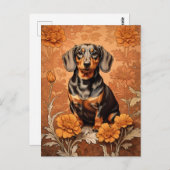 ダッエレガントシュントとマリゴールド ポストカード (正面/裏面)