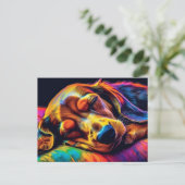 ダッカラフルシュント睡眠 ポストカード (スタンド正面)