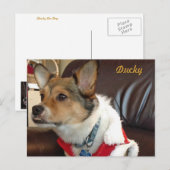 ダッキー（アヒルちゃん）ザ・ドッグ・ポストカード ポストカード (正面/裏面)
