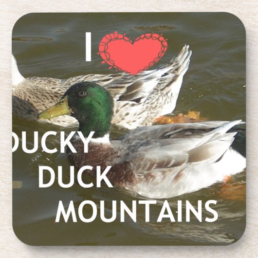 ダッキー（アヒルちゃん）ダック山。 コースター (正面)